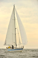 2017 Vineyard Race B_0244