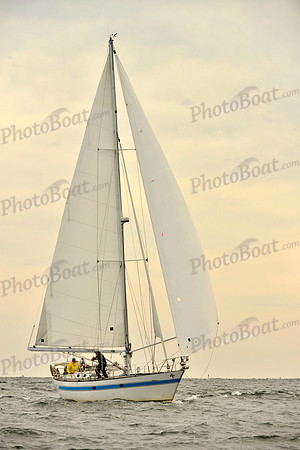 2017 Vineyard Race B_0244