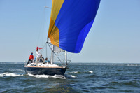 2019 Vineyard Race A_0987