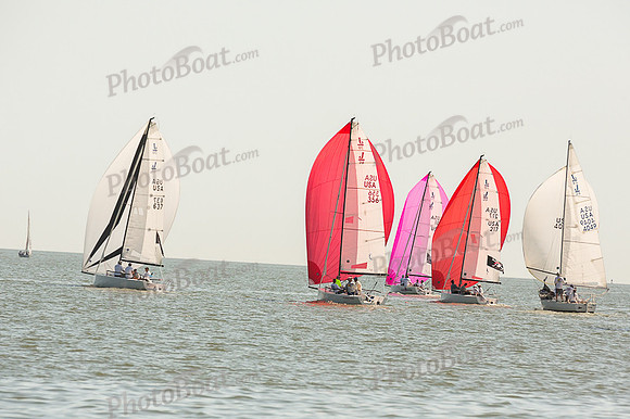 DBP_8238
