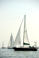 2014 Cape Charles Cup A 216