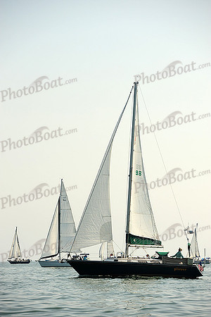 2014 Cape Charles Cup A 216