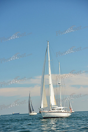 2015 Cape Charles Cup C 524