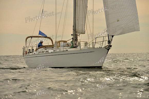 2017 Vineyard Race B_0075
