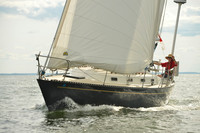 2016 Vineyard Race A_1741