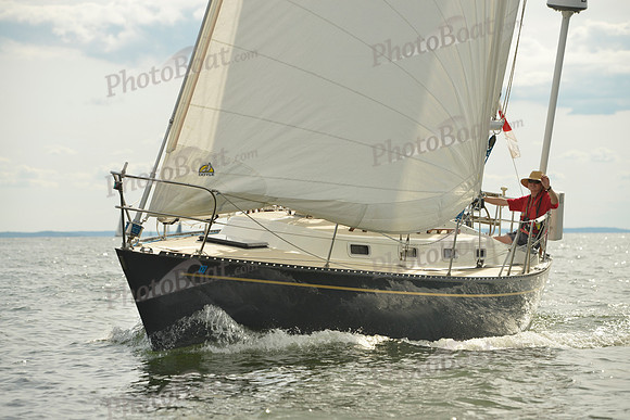 2016 Vineyard Race A_1741