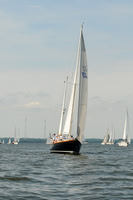 2011 Gov Cup A 267