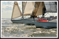 proof_2010_Vineyard_Race_1053