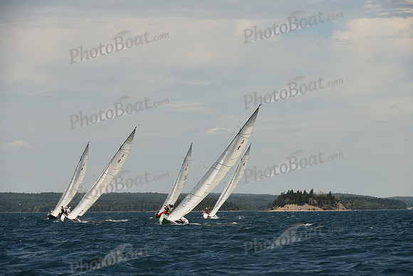 2016 Chester Race Week A_1173