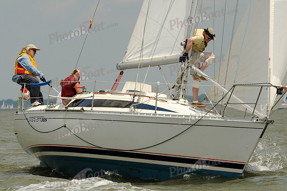 2012 Southern Bay Race Week A 1398