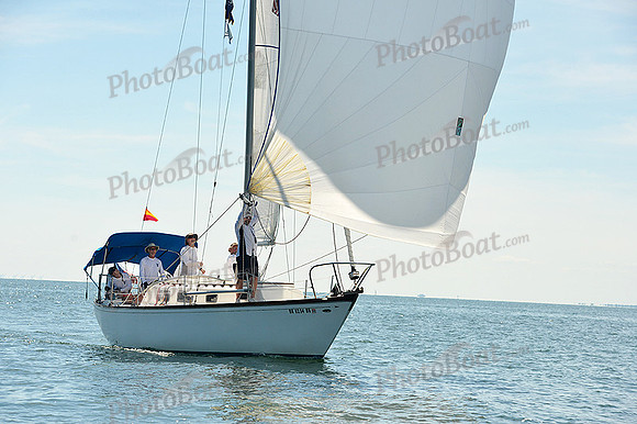 2015 Cape Charles Cup A 991