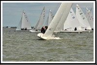 proof_2010_EScows_B 196