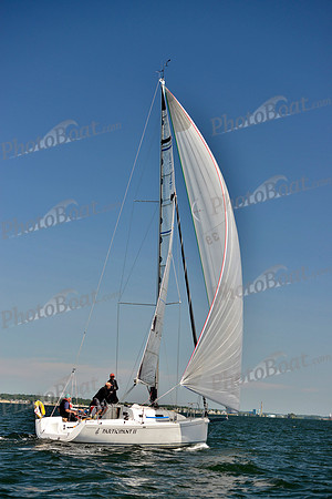 2017 Vineyard Race A_0439