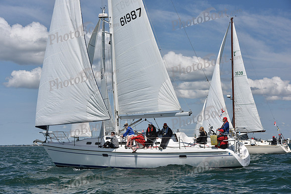 2019 Figawi_0713