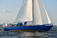 2019 ALIR_2399