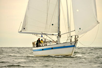 2017 Vineyard Race B_0248