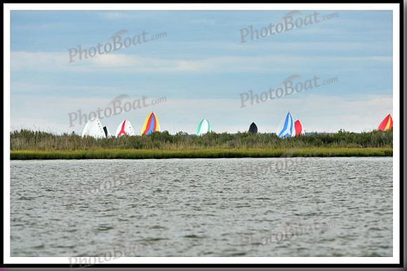 proof_2010_EScows_C 115