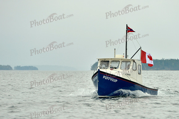 2016 Chester Race Week E_0219