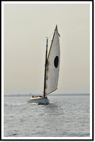 Molly Rose not racing