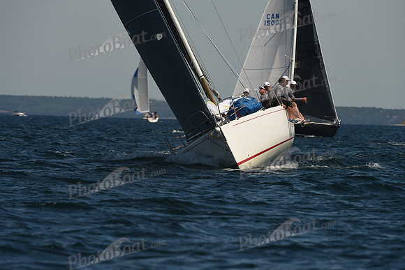 2016 Chester Race Week A_0088