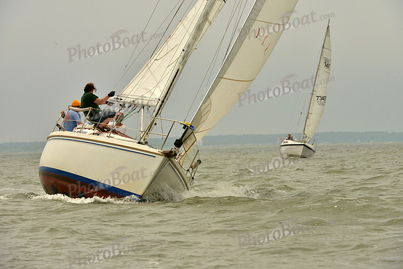 2016 Southern Bay Race Week A_1174
