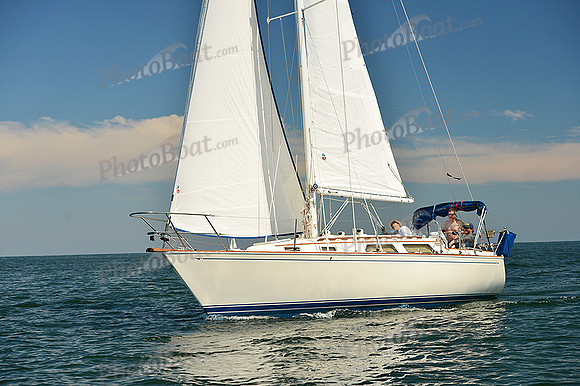 2015 Cape Charles Cup C 310