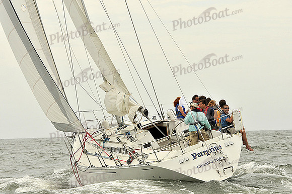 2013 Charleston Race Week A 486