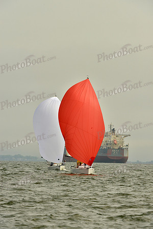2016 Southern Bay Race Week A_0058