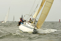 2015 Vineyard Race A 208