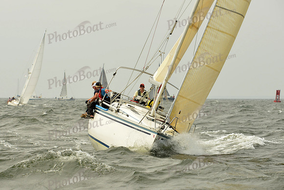 2015 Vineyard Race A 208
