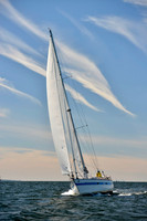 2017 Vineyard Race A_0679