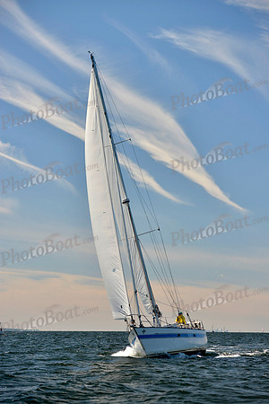 2017 Vineyard Race A_0679