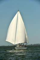 2015 Southern Bay Race Week A 1647