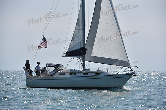 2019 Figawi_0077