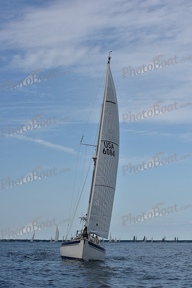 2019 Around Marthas Vineyard A_0387