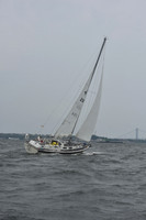 AMC_3229
