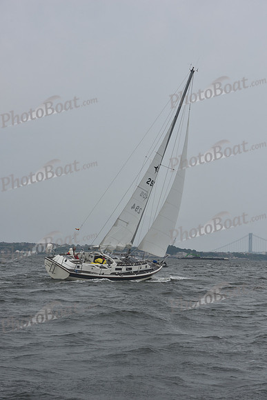 AMC_3229