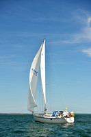 2015 Cape Charles Cup A 1496