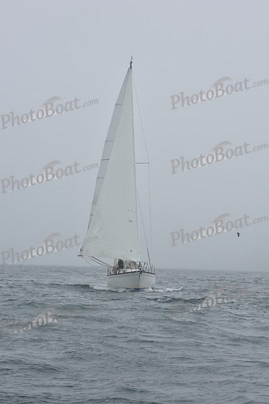 2021 Block Island Race Week B_1561