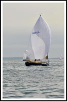 proof_2010 Block Island Race 443