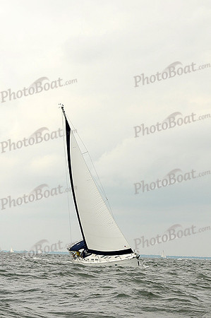 2012 Cape Charles Cup A 1075