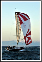 proof_2010_Vineyard_Race_2351