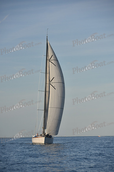 2019 Vineyard Race B_0420