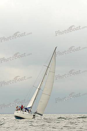 2012 Cape Charles Cup A 577