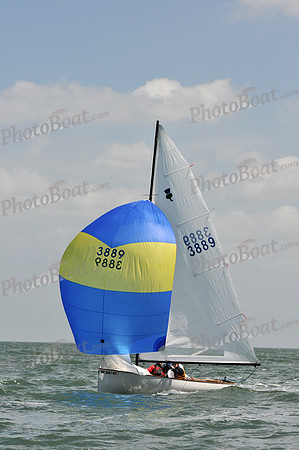 2012 Thistle Midwinters B 1299