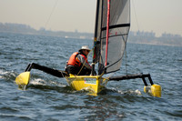 2011 HPDO A 491