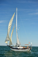 2015 Cape Charles Cup A 1443