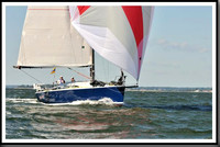proof_2010_Vineyard_Race_1230