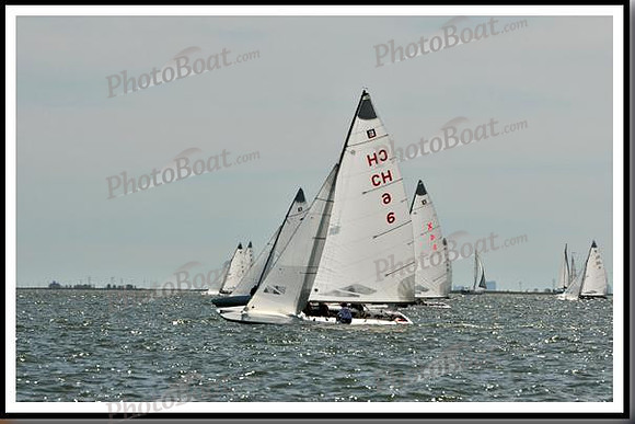 proof_2010_EScows_E 869