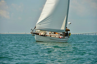 2017 St Petersburg Habana Race_1710